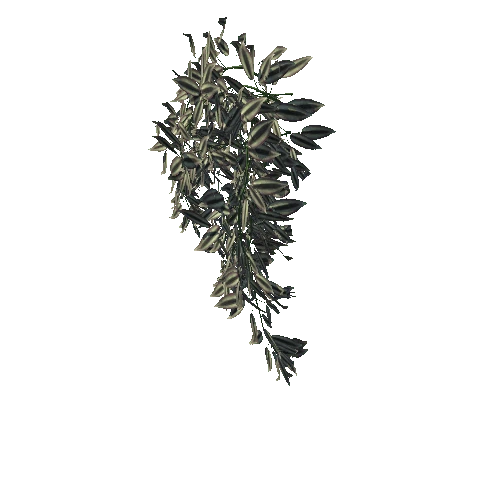 3DTree_Tradescantia pallida_002